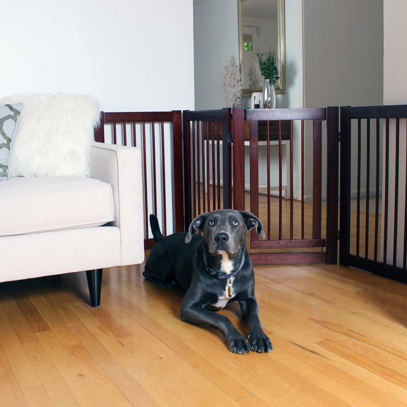 Primetime Petz 360 Configurable 30" Pet Gate & Reviews Wayfair